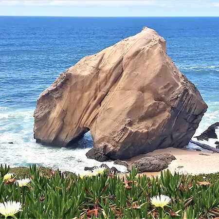 Santa Cruz Silveira (Lisbon)