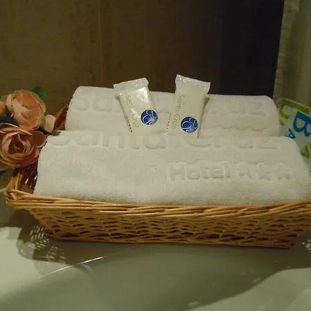 Hotel Santa Cruz 3*